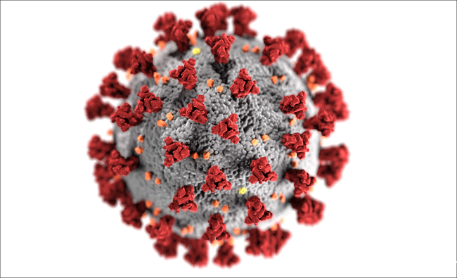 Coronavirus Bild